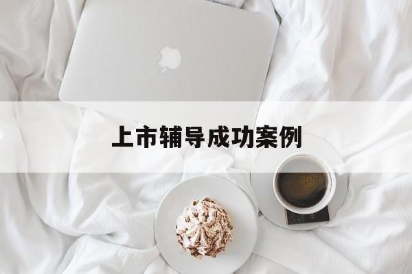 上市辅导成功案例(上市辅导成功后肯定会上市吗)乐山市