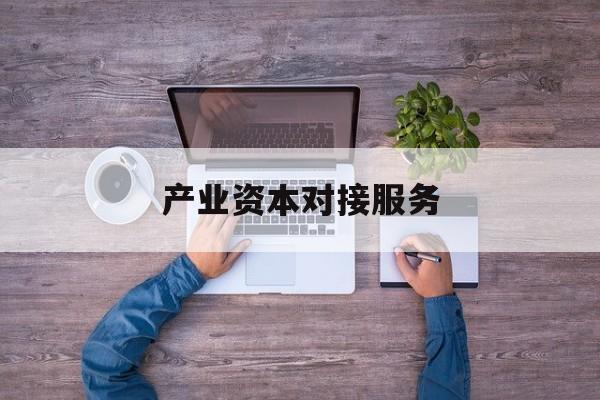 产业资本对接服务(产业资本对接服务包括哪些)乐山市